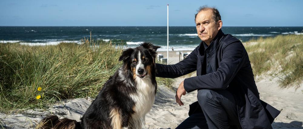 Carl Sievers versucht, das Vertrauen des scheuen Hundes Joker zu erlangen.