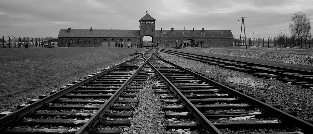 Zum Jahrestag der Befreiung des NS-Vernichtungslagers Auschwitz bietet das Bundesarchiv einen Themenschwerpunkt mit Originaldokumenten. (Archivbild)