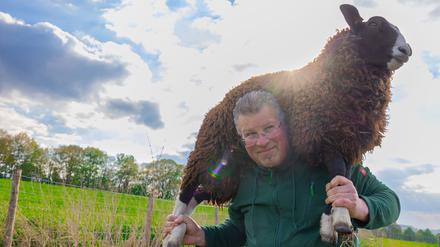 Landwirt Michael Stücke mit einem Schafsbock.