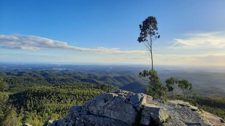 Ist sie das? Ja, die Algarve hat auch Berge zu bieten: 902 Meter misst der Fóia, ihr höchster Gipfel, der zur Sierra de Monchique gehört.