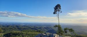 Ist sie das? Ja, die Algarve hat auch Berge zu bieten: 902 Meter misst der Fóia, ihr höchster Gipfel, der zur Sierra de Monchique gehört.