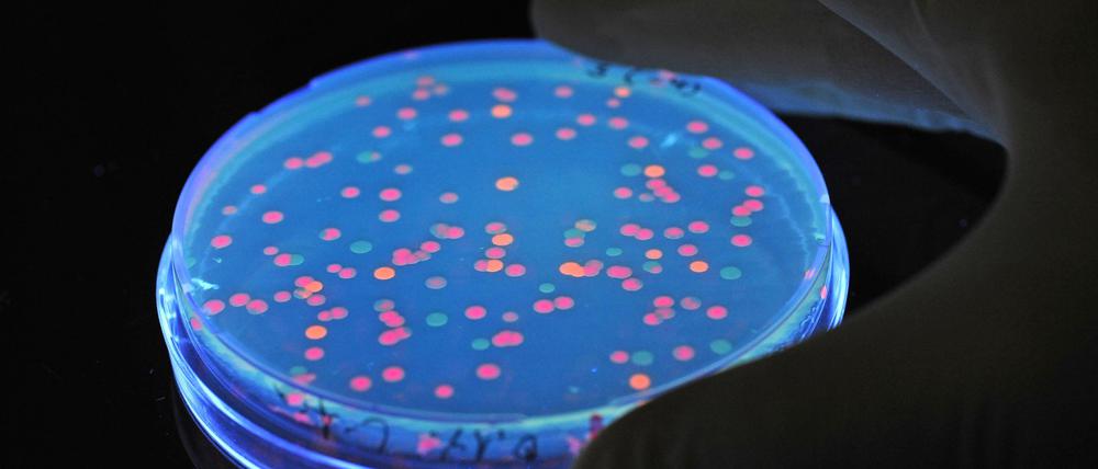 Verschiedene Bevölkerungsgruppen haben ein unterschiedlich hohes Vertrauen in Forscher. (Archivbild)