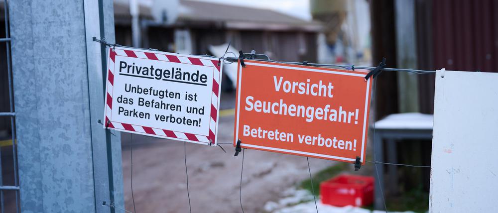 „Vorsicht Seuchengefahr!“ steht auf einem Schild an einem Betrieb in Mehrow im Landkreis Barnim.