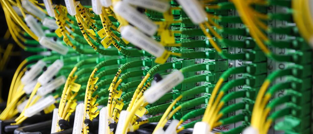 Der internationale Internetverkehr ist im vergangenen Jahr deutlich angestiegen