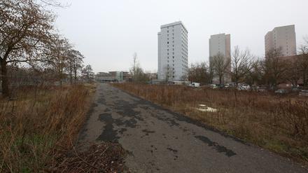 Das brache Baufeld am Humboldtring. Seit Sommer 2024 liegt die Baugenehmigung vor.