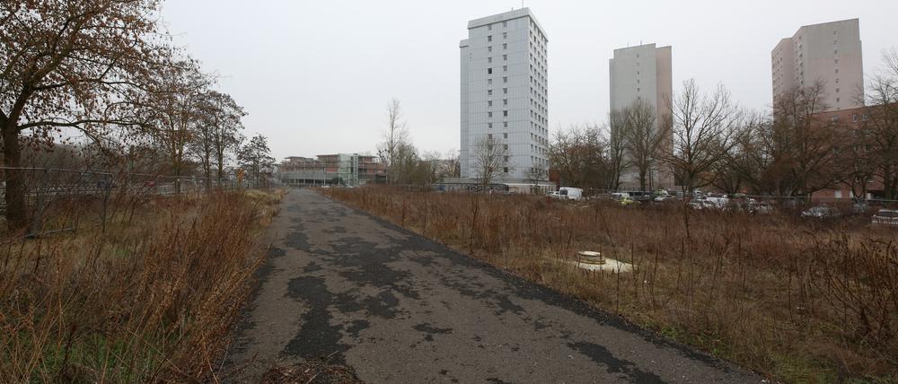 Das brache Baufeld am Humboldtring. Seit Sommer 2024 liegt die Baugenehmigung vor.