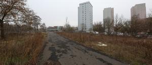 Das brache Baufeld am Humboldtring. Seit Sommer 2024 liegt die Baugenehmigung vor.