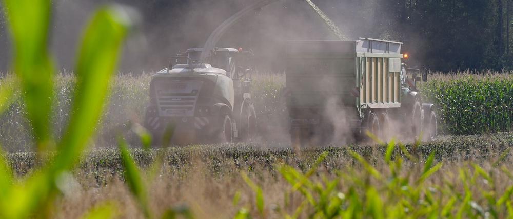 SPD und BSW wollen die Landwirte von Bürokratie entlasten.(Archivbild)
