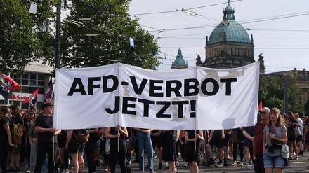 Bei einer Demonstration in Leipzig im August 2024 fordern Teilnehmer ein AfD-Verbot (Archivbild).