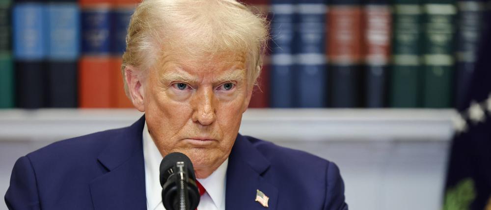Donald Trump ist in seinem Element.