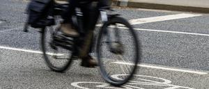 ARCHIV - 26.04.2024, Rheinland-Pfalz, Mainz: Ein Radfahrer fährt auf einer Straße mit Fahrrad-Piktogramm. (zu dpa: «Drahtseile über Radwege gespannt - Belohnung für Hinweise») Foto: Andreas Arnold/dpa +++ dpa-Bildfunk +++