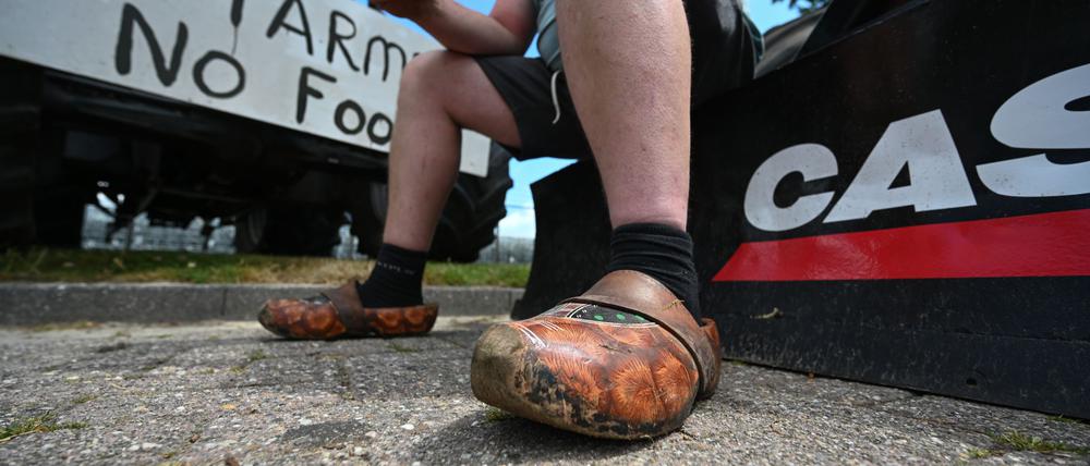 Mehrfach hatten Landwirte in den vergangenen Jahren massiv gegen die Umweltauflagen protestiert. (Archivbild)