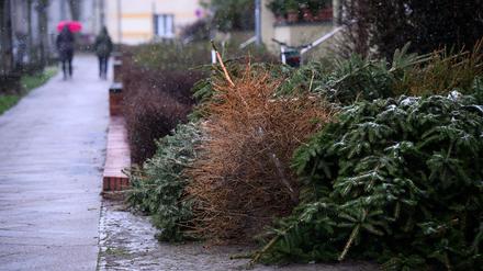 Zu spät herausgelegte Weihnachtsbäume können auch nach Ende der regulären Abholung weiter gemeldet werden. (Archivbild)