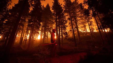 Aufnahmen des Caldor-Feuer in der Nähe von Meyers, Kalifornien.