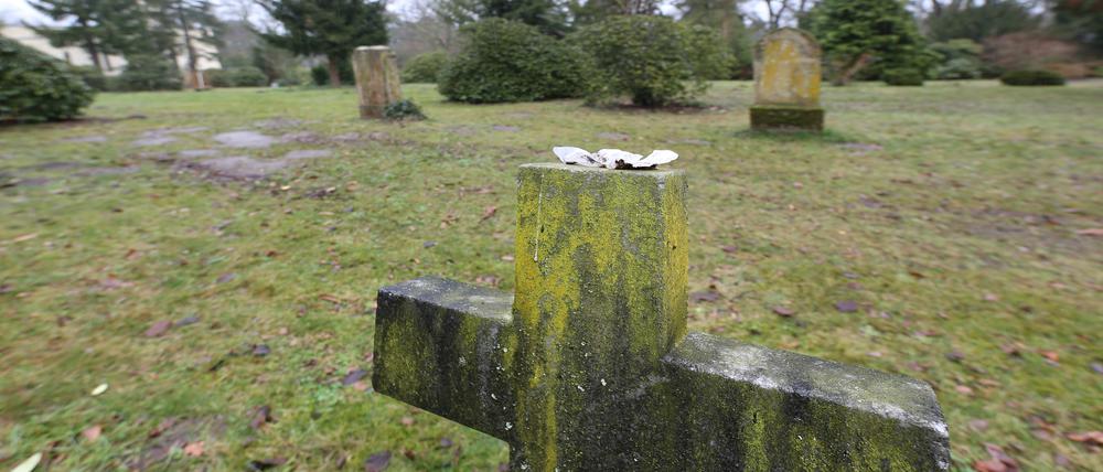 Auf dem Neuen Friedhof Potsdam wurden wieder im großen Stil Gräber mit Fäkalien beschmiert.