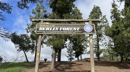 Der „Berlin Forest“ hoch über Los Angeles: ein Symbol der Städtepartnerschaft mit Berlin. Offiziell eröffnet am 10. Oktober 1990 von LA-Bürgermeister Tom Bradley und Berlins Regierendem Walter Momper. Auch Schüler der deutschen Hauptstadt legten damals mit Hand an.
