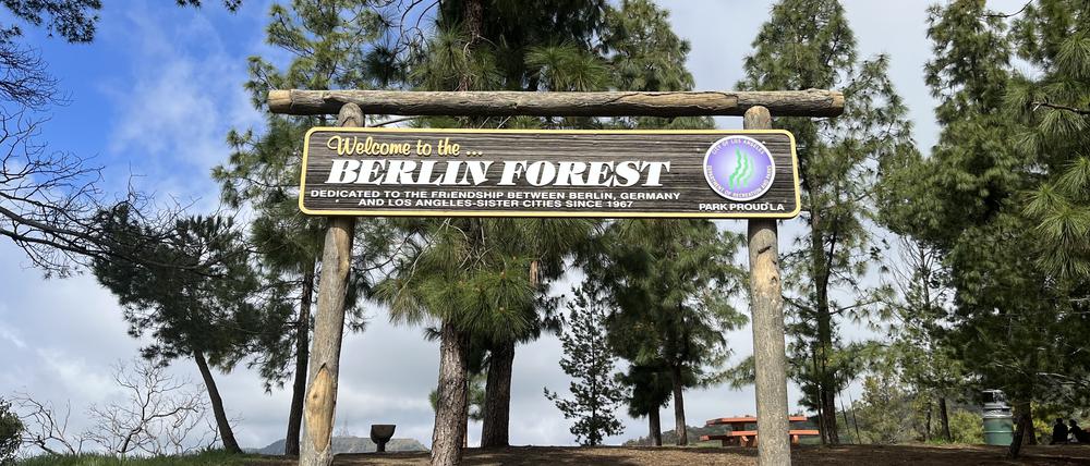 Der „Berlin Forest“ hoch über Los Angeles: ein Symbol der Städtepartnerschaft mit Berlin. Offiziell eröffnet am 10. Oktober 1990 von LA-Bürgermeister Tom Bradley und Berlins Regierendem Walter Momper. Auch Schüler der deutschen Hauptstadt legten damals mit Hand an.
