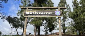 Der „Berlin Forest“ hoch über Los Angeles: ein Symbol der Städtepartnerschaft mit Berlin. Offiziell eröffnet am 10. Oktober 1990 von LA-Bürgermeister Tom Bradley und Berlins Regierendem Walter Momper. Auch Schüler der deutschen Hauptstadt legten damals mit Hand an.
