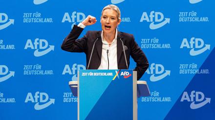 Alice Weidel bei einer Rede.