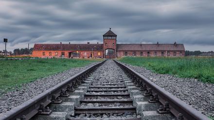 In der aktuellen MEMO-Studie haben 38,1 Prozent der Befragten der These stark oder eher zugestimmt, dass es „Zeit für einen Schlussstrich unter die Zeit des Nationalsozialismus“ sei.