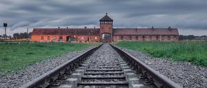 In der aktuellen MEMO-Studie haben 38,1 Prozent der Befragten der These stark oder eher zugestimmt, dass es „Zeit für einen Schlussstrich unter die Zeit des Nationalsozialismus“ sei.