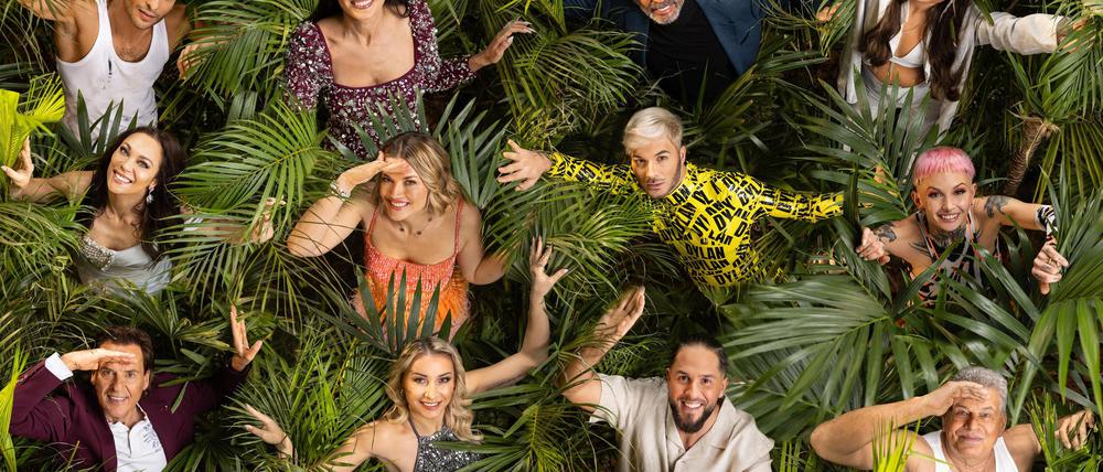 Das RTL-Dschungelcamp startet wieder.