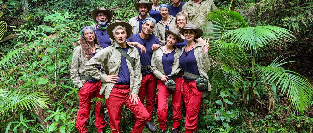 Alles muss raus: Die Dschungelcamper und ihre Lebensbeichten.