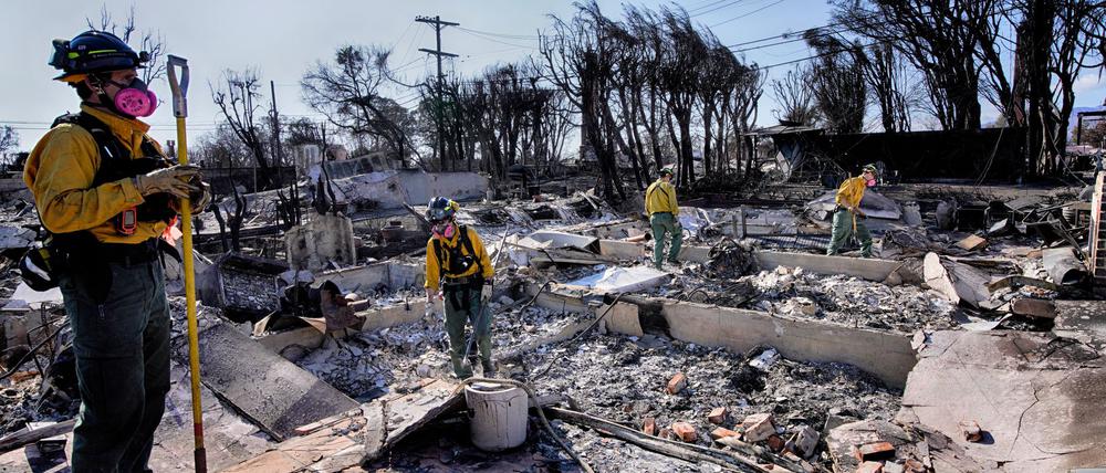 Von vielen Häusern ist in Pacific Palisades nichts mehr übrig. (Archivbild)
