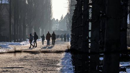 Besucher gehen am Stacheldraht in der KZ-Gedenkstätte Auschwitz-Birkenau vorbei (Symbolbild).