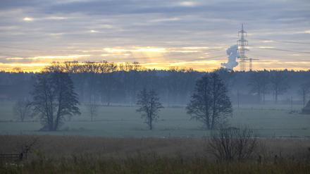Morgendlicher Nebel liegt über Feldern und Wiesen (Symbolfoto).