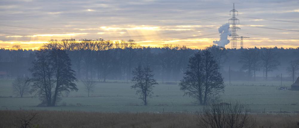 Morgendlicher Nebel liegt über Feldern und Wiesen (Symbolfoto).