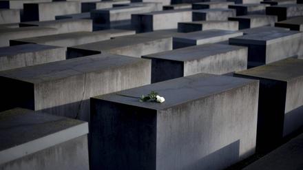 Eine weiße Rose auf einer Stele vom Holocaust-Mahnmal bei der Gedenkveranstaltung für die ermordeten Juden Europas am Holocaust-Mahnmal in Berlin. 