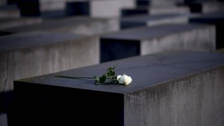 Holocaust Memorial - 75th Anniversary Of The Liberation Of Auschwitz Deu, Deutschland, Germany, Berlin, 27.01.2020 Weisse Rose auf einer Stele vom Holocaust Mahnmal bei der Gedenkveranstaltung fuer die ermordeten Juden Europas am Holocaust-Mahnmal und der Gedenkstaette Topographie des Terrors in Berlin. In Gedenken am 75. Jahrestag der Befreiung von Auschwitz veranstaltet die juedische Gemeinde und antifaschistische Initiativen unter dem Motto Kein Vergessen Kein Vergeben zur Erinnerung an die ermordeten Juden Europas im Dritten Reich. White rose on a stele of the Holocaust Memorial at the ceremony to commemorate the victims of the Holocaust at the Memorial to the Murdered Jews of Europe, also called the Holocaust Memorial, on the 75th anniversary of the liberation of the Auschwitz death camp on January 27, 2020 in Berlin, Germany. Politi