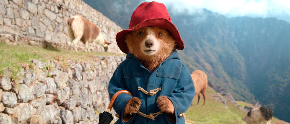 Paddington macht in Peru die Bekanntschaft mit Lamas und singenden Nonnen.