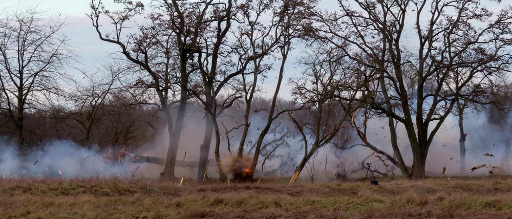 Explosion in Berlin Spandau Rieselfelder - Bäume werden durch das THW gesprengt im Auftrag der Berliner Wasserbetriebe -