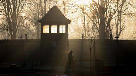 Am 27. Januar 2025 ist der 80. Jahrestag der Befreiung des NS-Vernichtungslagers Auschwitz.