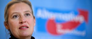 Alice Weidel, Vorsitzende der AfD-Bundestagsfraktion, ist besonders in Brandenburg beliebt. 28 Prozent der Brandenburger geben an, ihre teils rechtsextreme Partei zu wählen. 