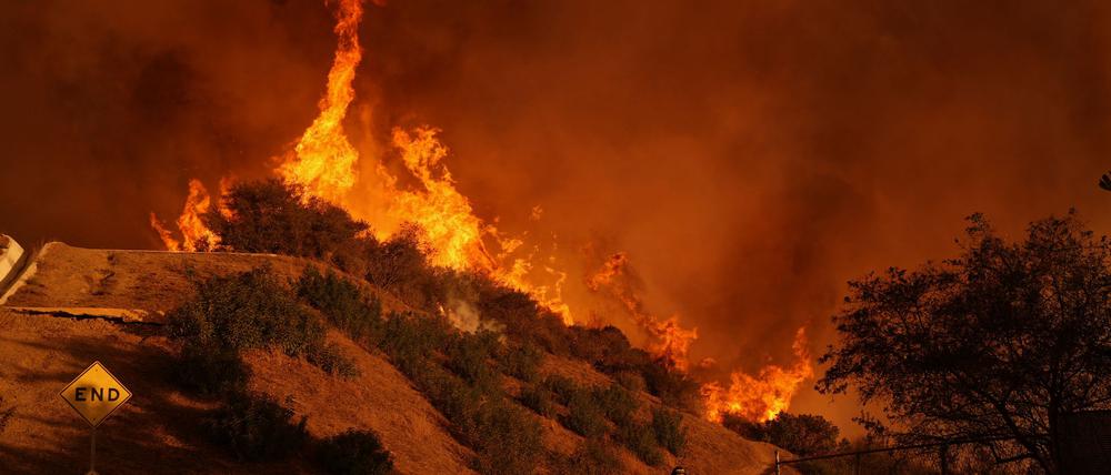 Seit dem 7. Januar 2025 wüten im Großraum Los Angeles eine Reihe von Großbränden. (Archivbild)