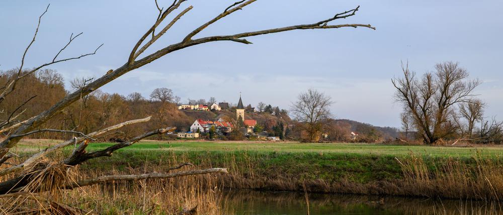 Die Sonne kommt am Wochenende zunehmend hinter der dichten Wolkendecke hervor. (Symbolbild)