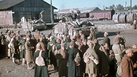Russische Kriegsgefangene in der Ukraine, bewacht von deutschen Panzern, warten auf ihren Abtransport im Jahre 1943. 