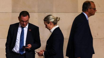 Der CDU-Chef Friedrich Merz geht an Tino Chrupalla und Alice Weidel, Co-Vorsitzende der AfD, vorbei (Symbolbild).