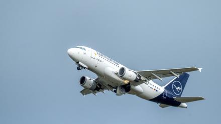 Flugzeuge waren noch nie so ausgelastet wie 2024.  