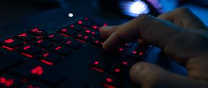 Das Bundeskriminalamt und die Generalstaatsanwaltschaft Frankfurt am Main haben  die zwei weltweit größten Foren für Cybercrime abgeschaltet