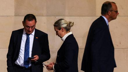 Haben gemeinsam abgestimmt: Tino Chrupalla und Alice Weidel (AfD) sowie Friedrich Merz (CDU).