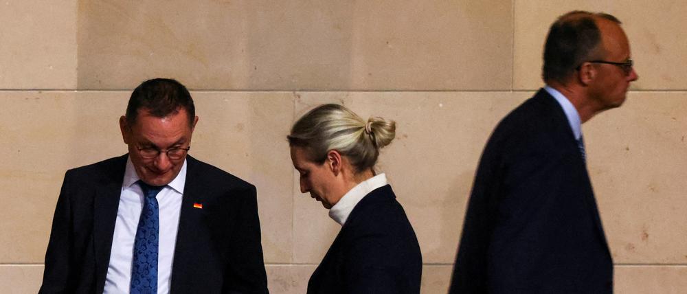 Haben gemeinsam abgestimmt: Tino Chrupalla und Alice Weidel (AfD) sowie Friedrich Merz (CDU).