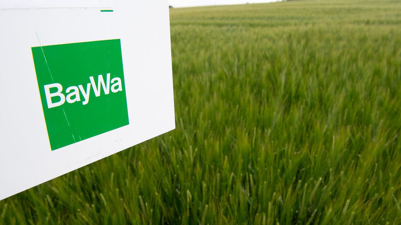 Baywa In Gefahr Neue Us Gesetze Könnten Sanierung Platzen Lassen - woe20vz