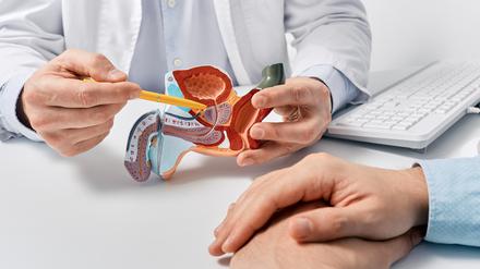 Ein Arzt erläutert anhand eines Modells ein urologisches Problem.