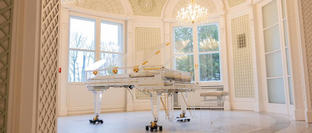 Der Glasflügel hatte Jürgens zu vielen seiner Auftritte begleitet - nun gehört er einem Fan.