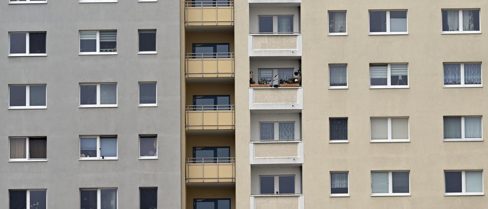 In den Plattenbauvierteln in Potsdams Süd-Osten konzentriert sich die Armut. Doch durch die Wohnungsknappheit könnte sich die Mischung wieder erhöhen.