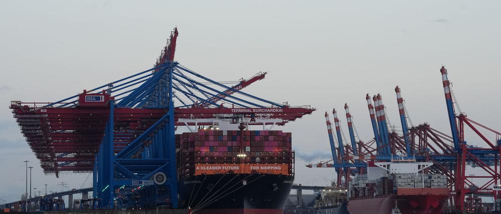 Containerschiffe von Hapag-Lloyd und Maersk liegen im Hamburger Hafen. (Archivbild)